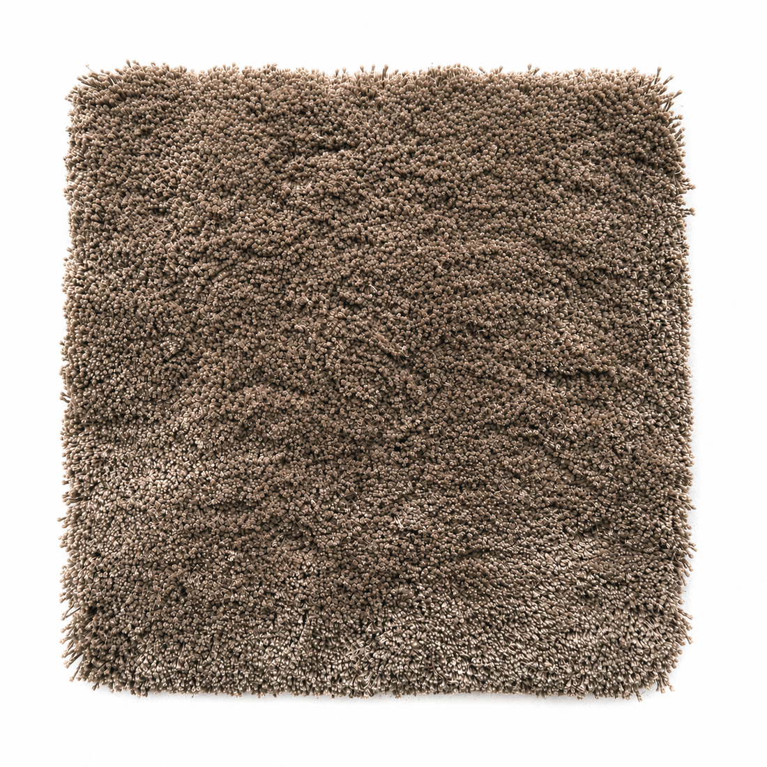 New Start 20 - Biodegradable Pet rug, hand tufted