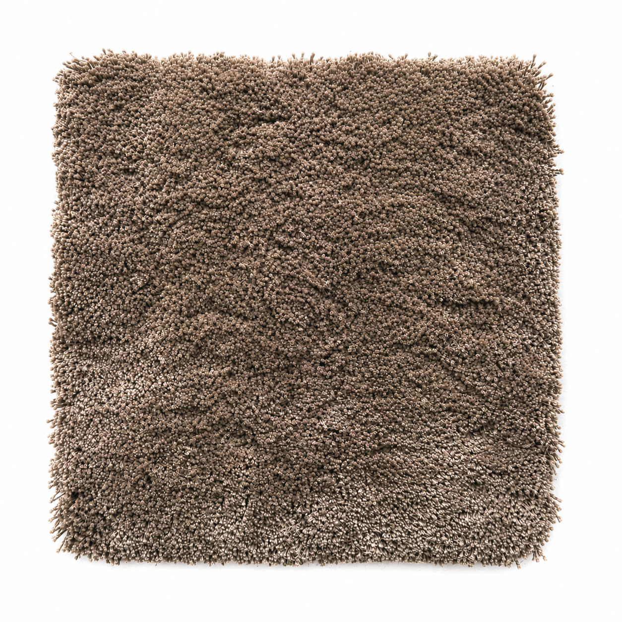 New Start 20 - Biodegradable Pet rug, hand tufted