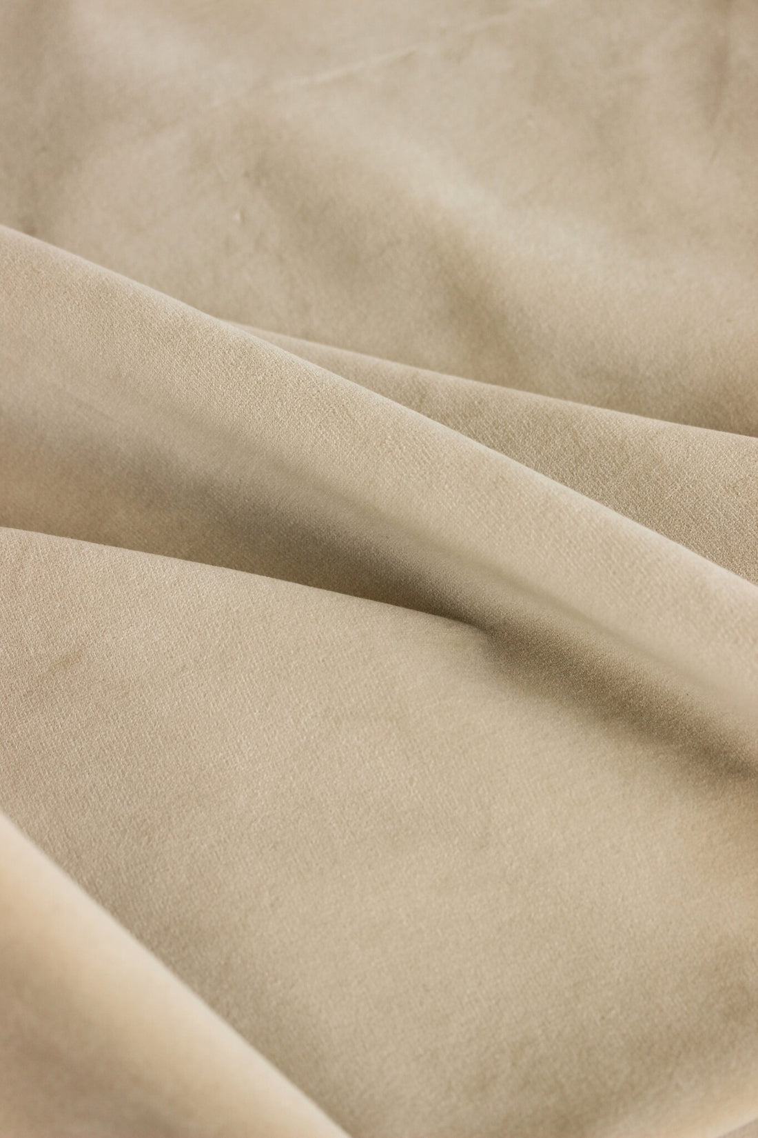 Crown Jewel - Curtain Fabric, Cotton