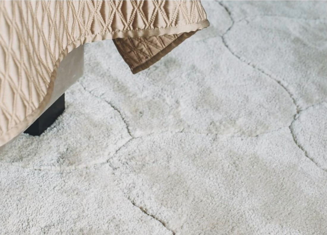 Rug Special at a private residence by Nicemakers