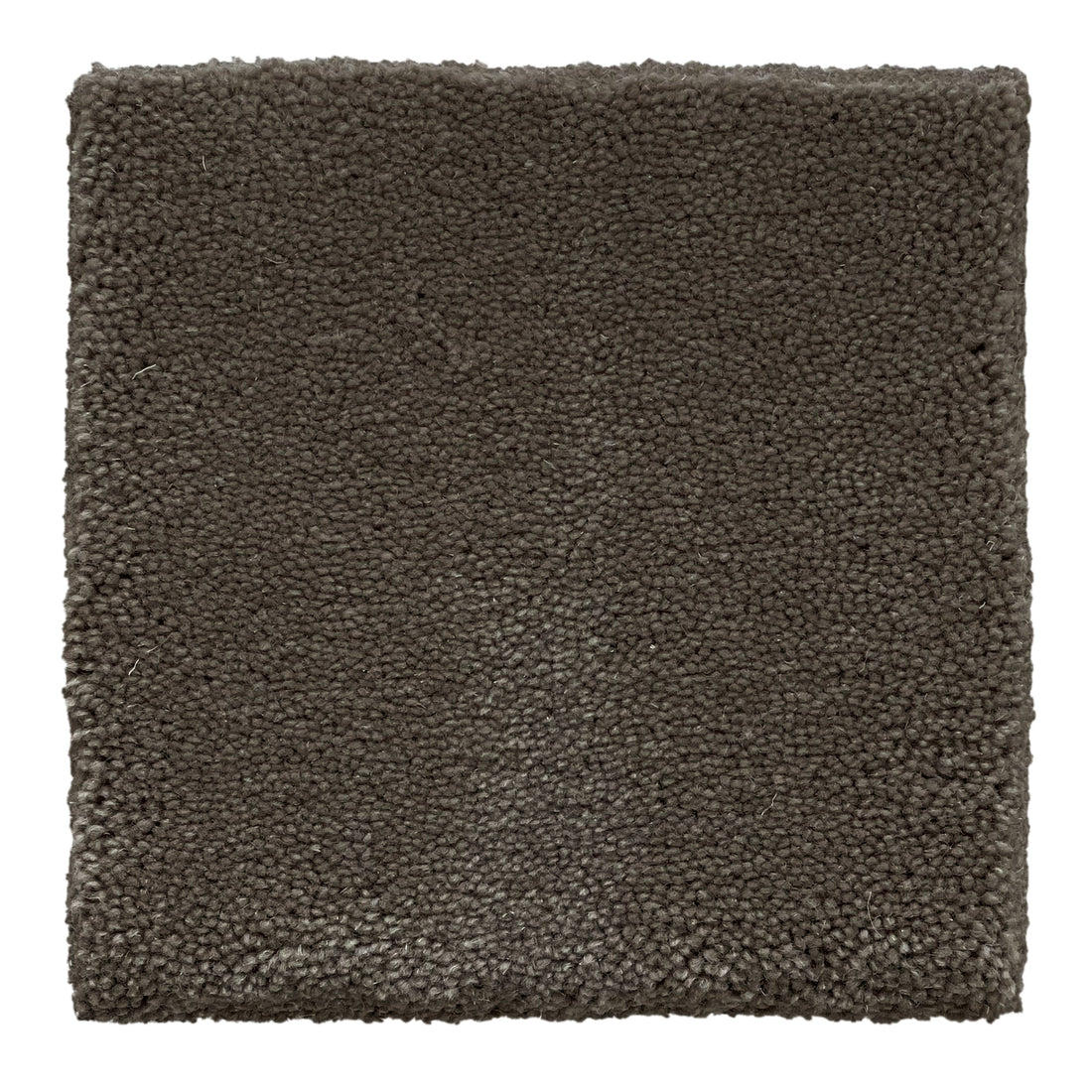 Step Up 16 - Pure New Wool rug, Machine knitted,  14,0 mm pile, espresso